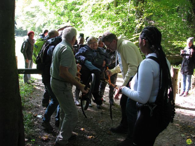 Randonnée joëlettes à Watermael-Boitsfort