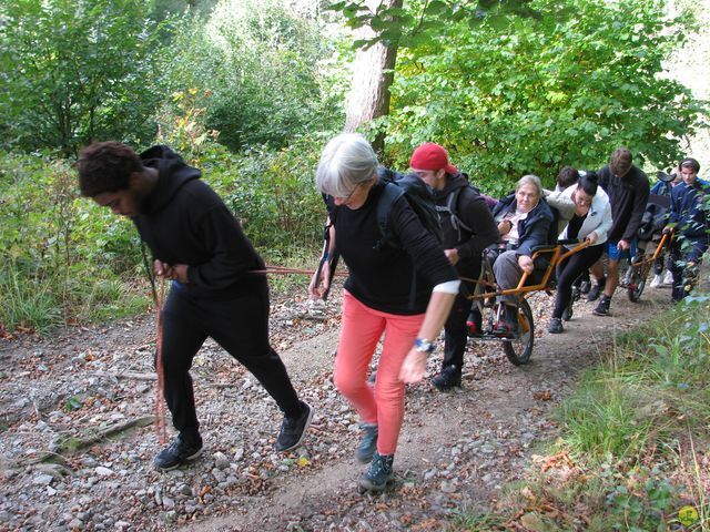 Randonnée joëlettes à Watermael-Boitsfort