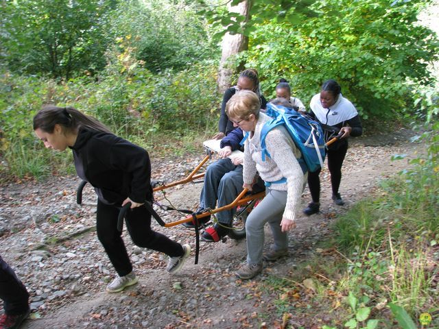 Randonnée joëlettes à Watermael-Boitsfort