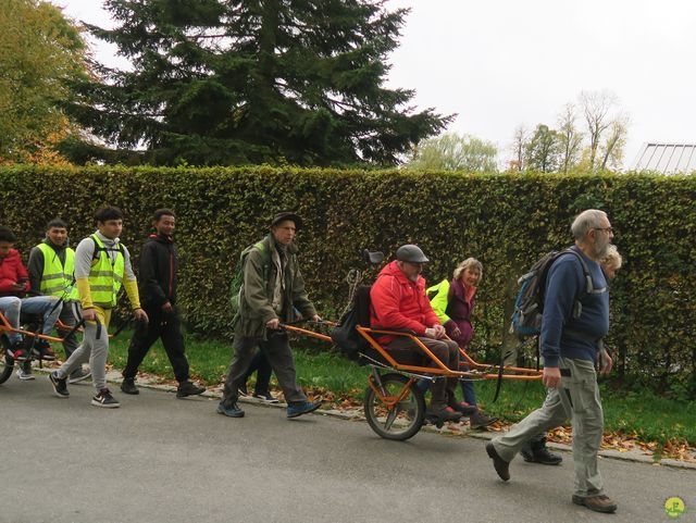 Randonnée joëlettes à Recogne