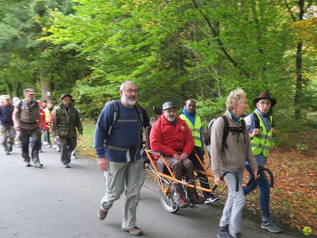 Randonnée joëlettes à Recogne