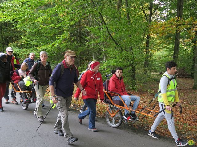 Randonnée joëlettes à Recogne