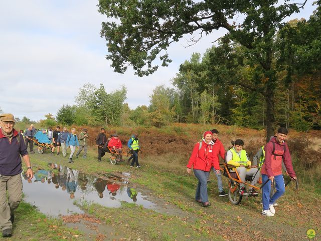 Randonnée joëlettes à Recogne