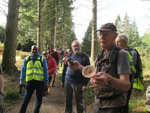 Randonnée joëlettes à Recogne