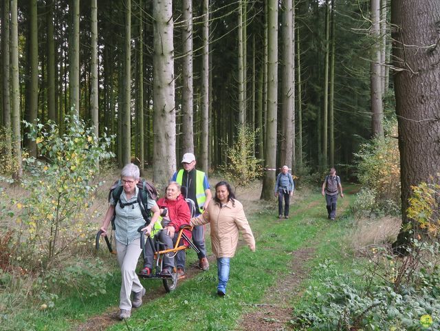 Randonnée joëlettes à Recogne