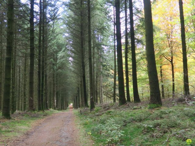 Randonnée joëlettes à Recogne