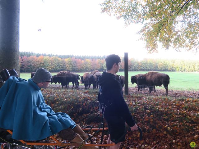 Randonnée joëlettes à Recogne