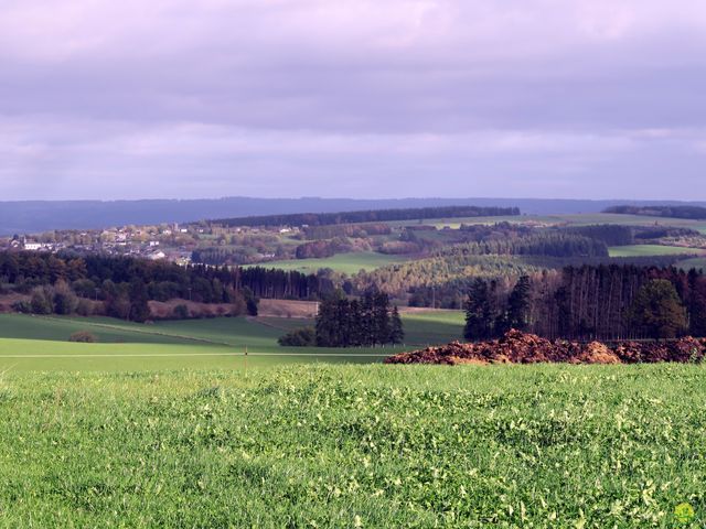 Randonnée joëlettes à Recogne