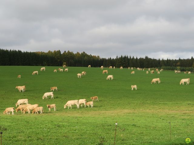 Randonnée joëlettes à Recogne