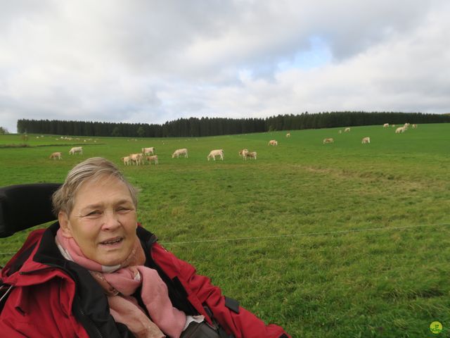 Randonnée joëlettes à Recogne