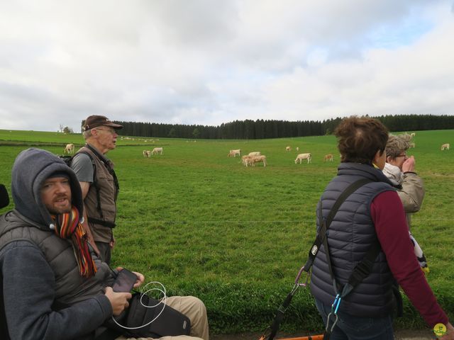 Randonnée joëlettes à Recogne