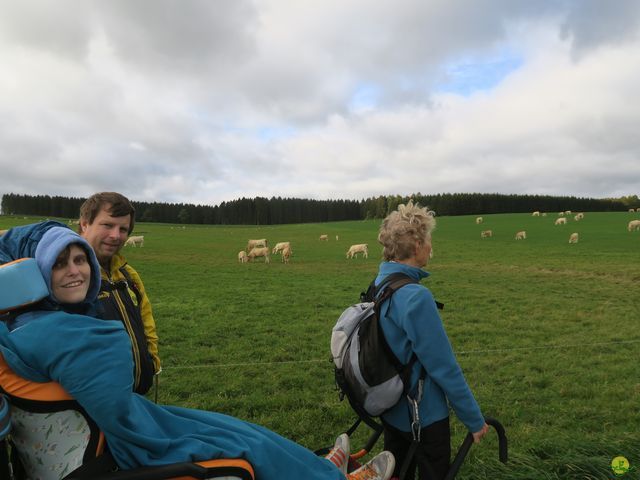 Randonnée joëlettes à Recogne