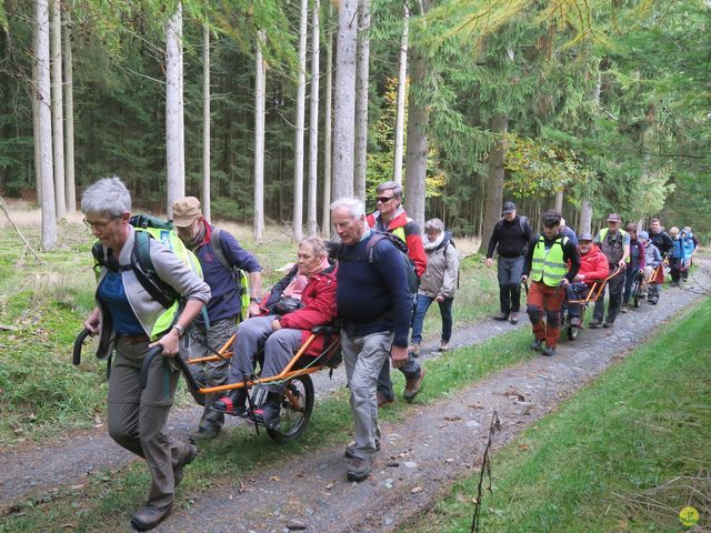 Randonnée joëlettes à Recogne