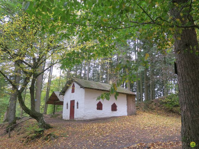 Randonnée joëlettes à Recogne