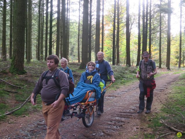 Randonnée joëlettes à Recogne