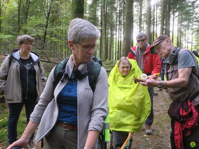 Randonnée joëlettes à Recogne