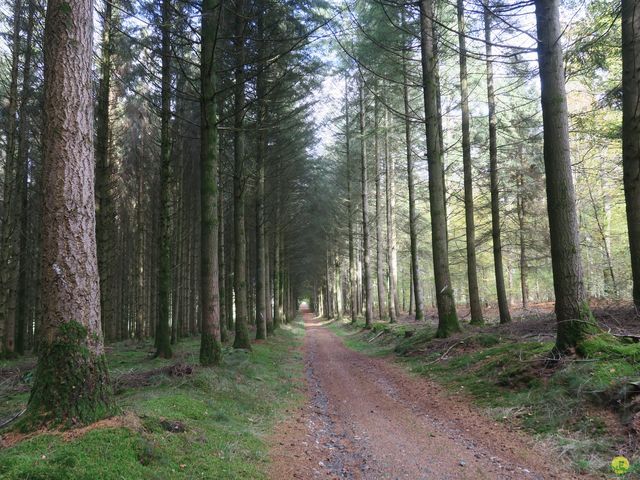 Randonnée joëlettes à Recogne