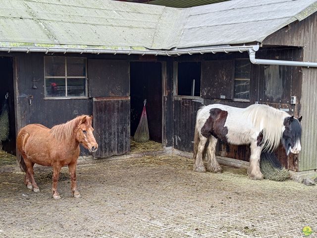 Randonnée joëlettes à Gottignies