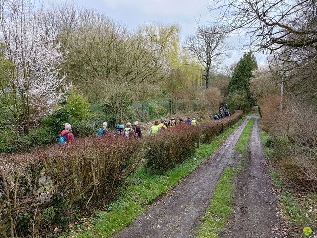 Randonnée joëlettes à Gottignies