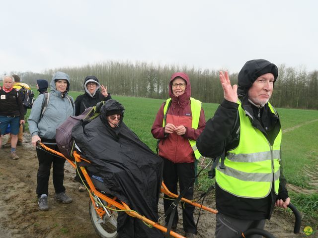 Randonnée joëlettes à Gottignies