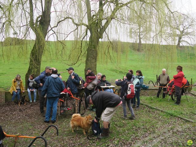 Randonnée joëlettes à Gottignies