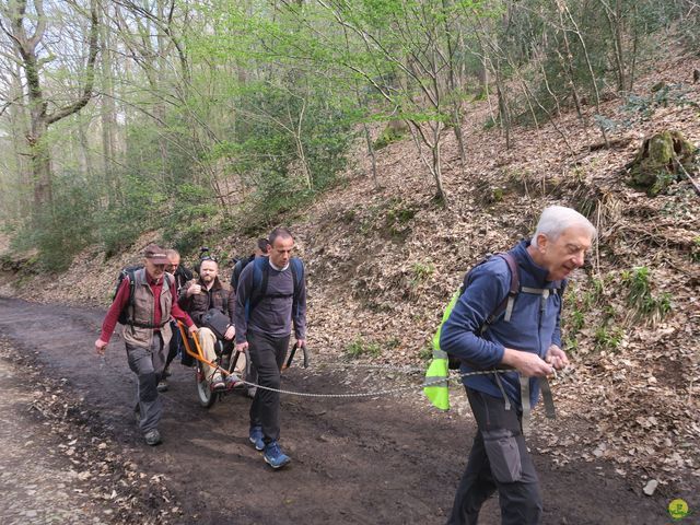 Randonnée joëlettes au Ninglinspo