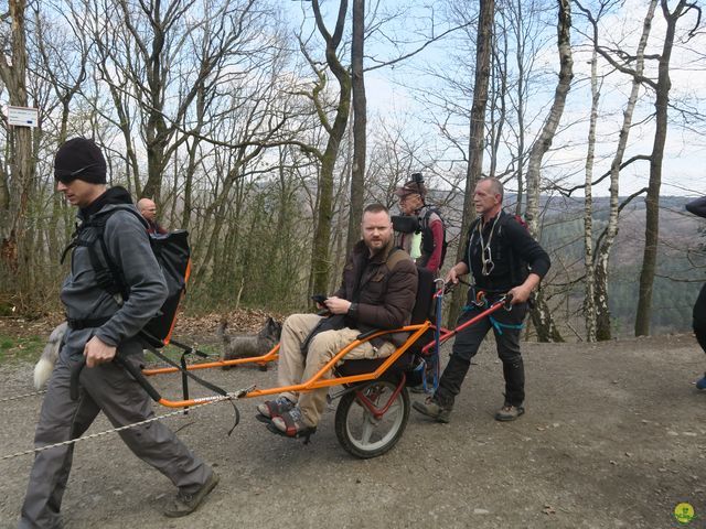 Randonnée joëlettes au Ninglinspo