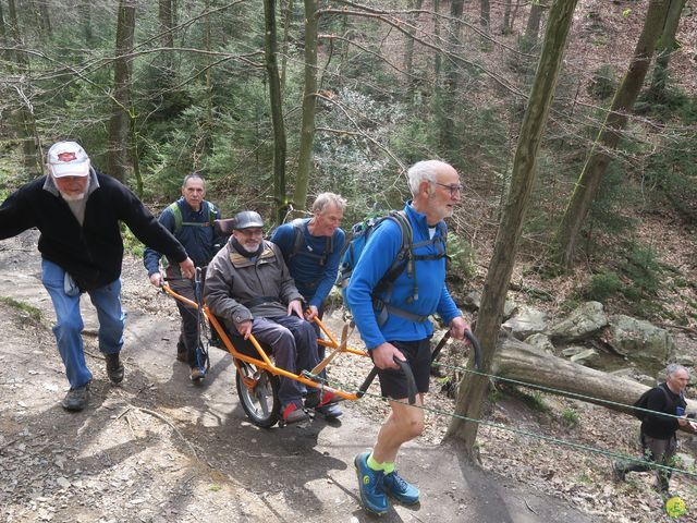 Randonnée joëlettes au Ninglinspo