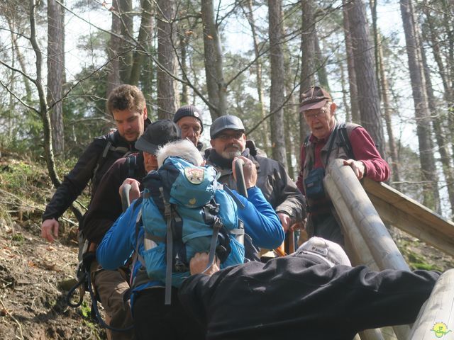 Randonnée joëlettes au Ninglinspo