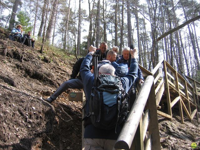 Randonnée joëlettes au Ninglinspo