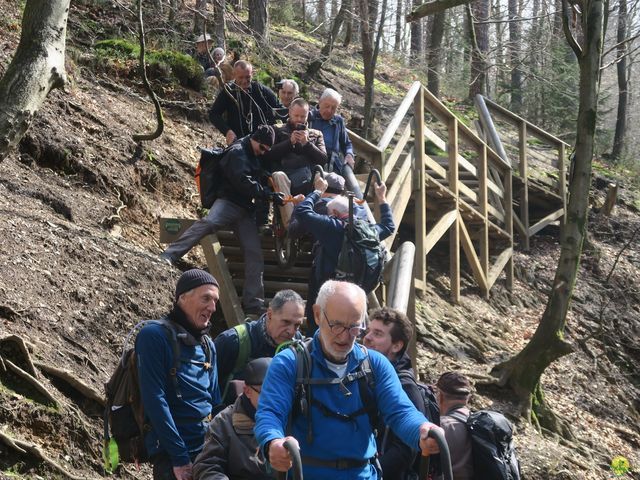 Randonnée joëlettes au Ninglinspo