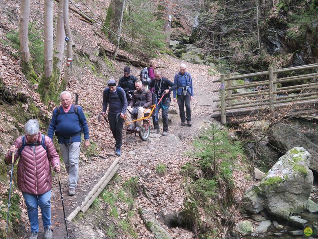 Randonnée joëlettes au Ninglinspo