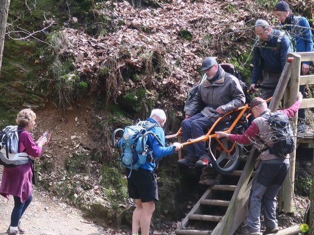 Randonnée joëlettes au Ninglinspo