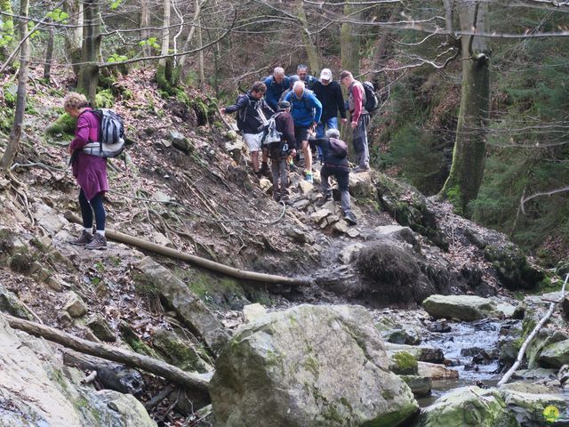 Randonnée joëlettes au Ninglinspo