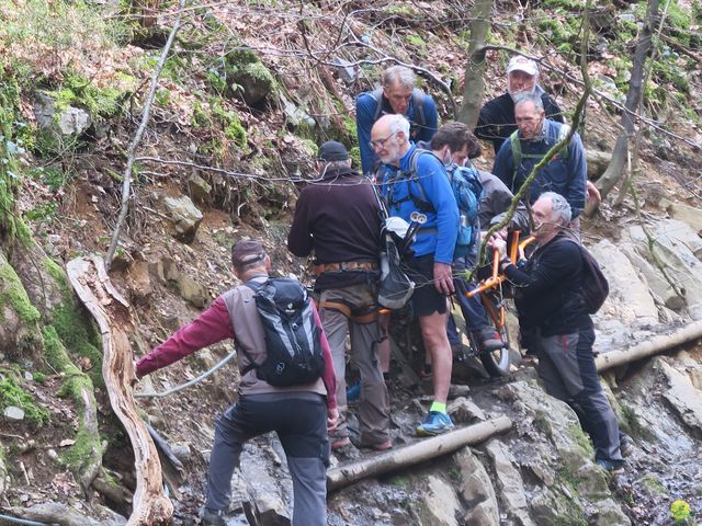 Randonnée joëlettes au Ninglinspo