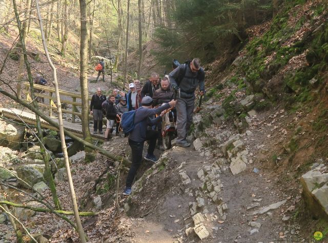 Randonnée joëlettes au Ninglinspo