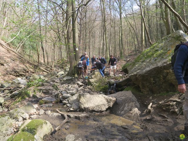 Randonnée joëlettes au Ninglinspo