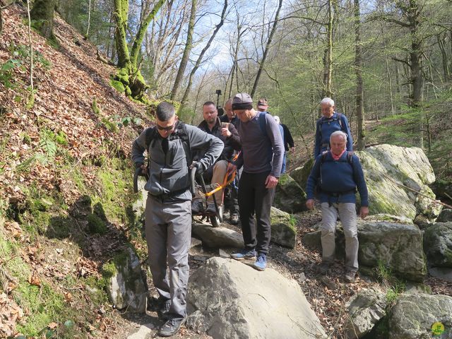 Randonnée joëlettes au Ninglinspo