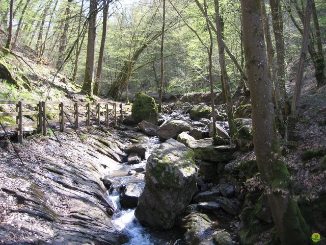 Randonnée joëlettes au Ninglinspo