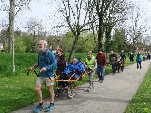 Randonnée joëlettes à Overijse