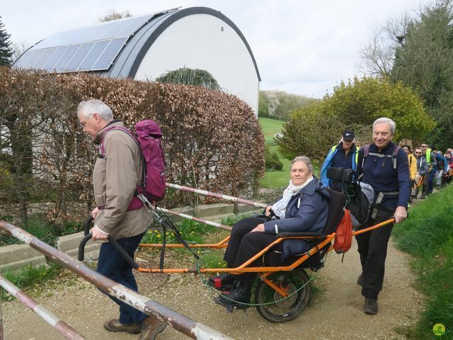 Randonnée joëlettes à Overijse