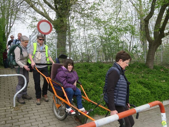 Randonnée joëlettes à Overijse