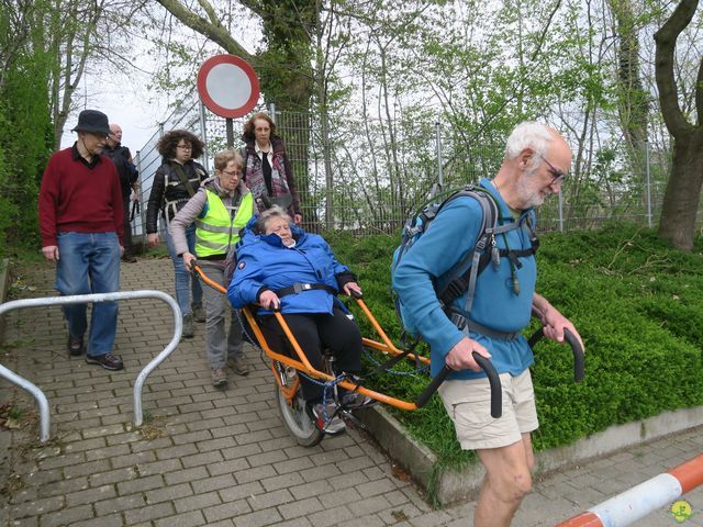 Randonnée joëlettes à Overijse