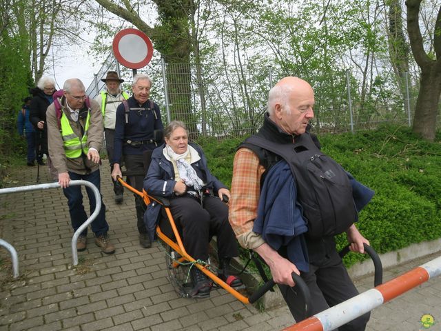 Randonnée joëlettes à Overijse