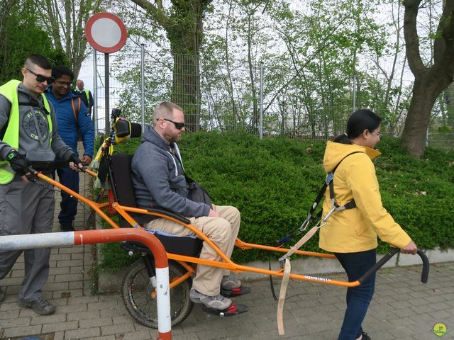 Randonnée joëlettes à Overijse