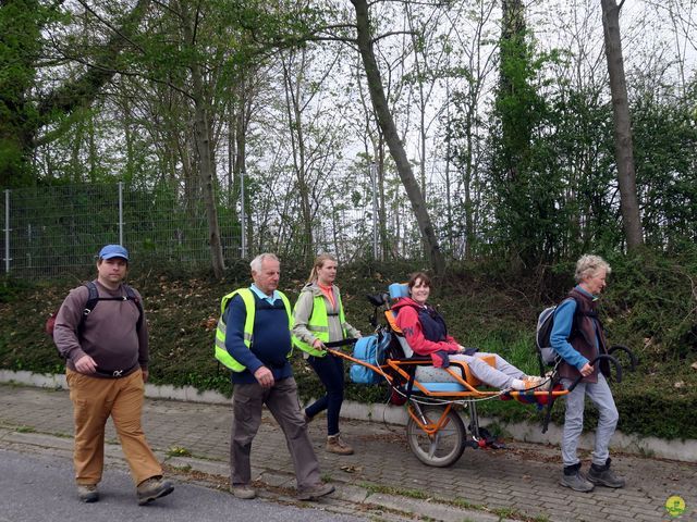 Randonnée joëlettes à Overijse