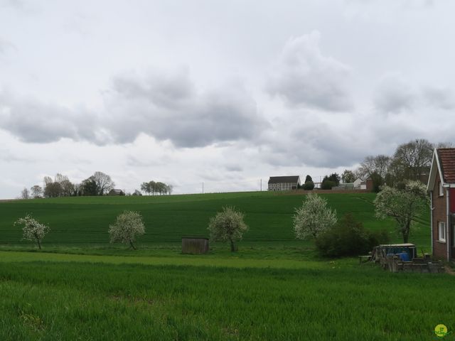 Randonnée joëlettes à Overijse