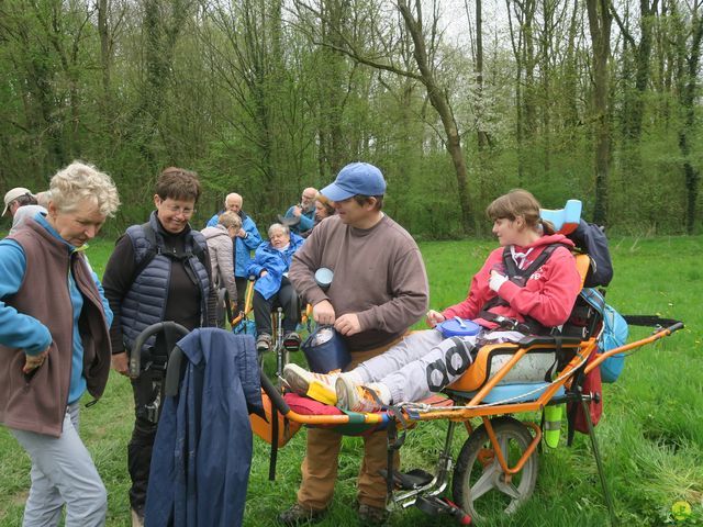 Randonnée joëlettes à Overijse