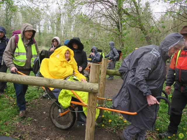 Randonnée joëlettes à Overijse