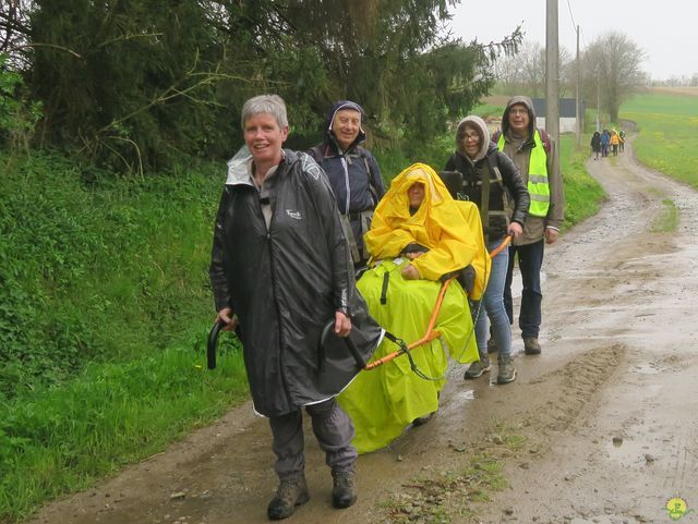 Randonnée joëlettes à Overijse